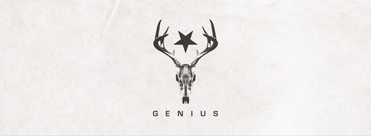 Genius Lab