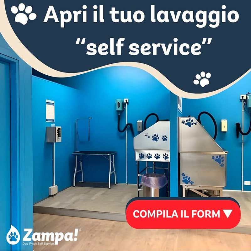 Zampalavaggio